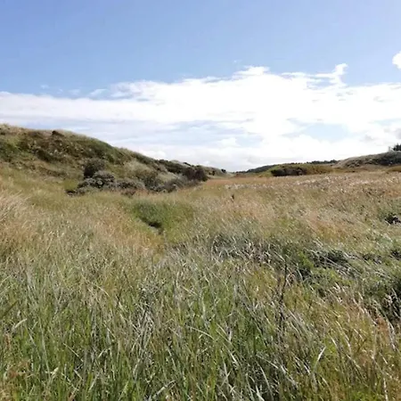 5 Person In Albaek-by Traum * Ålbæk