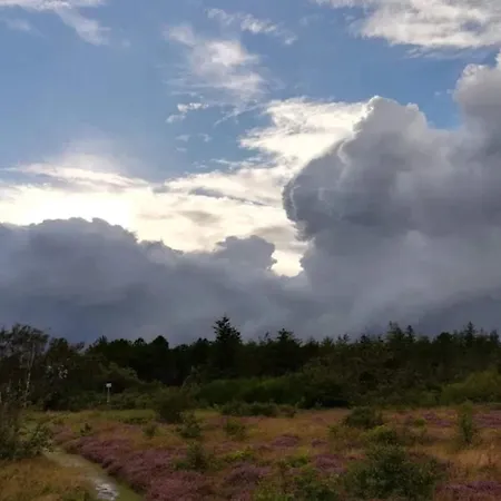 Semesterbostad 5 Person In Albaek-by Traum *