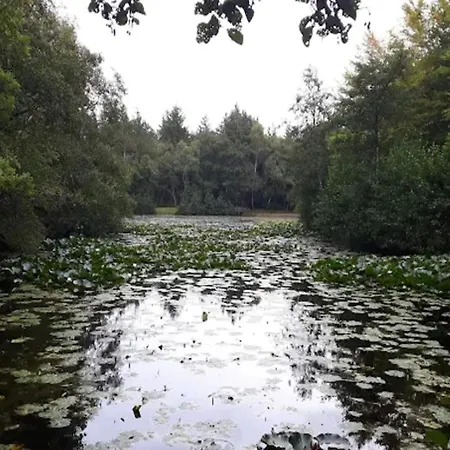 Semesterbostad 5 Person In Albaek-by Traum Ålbæk