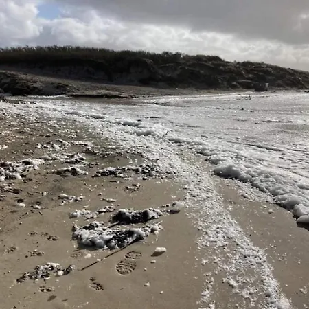 5 Person In Albaek-by Traum * Ålbæk